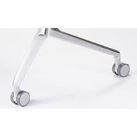 ポリッシュタイプ