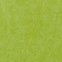 ライトグリーン11