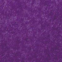 パープル18