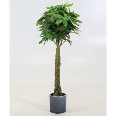 クウソープランツ QooSo Plants 観葉植物 インテリア 置物