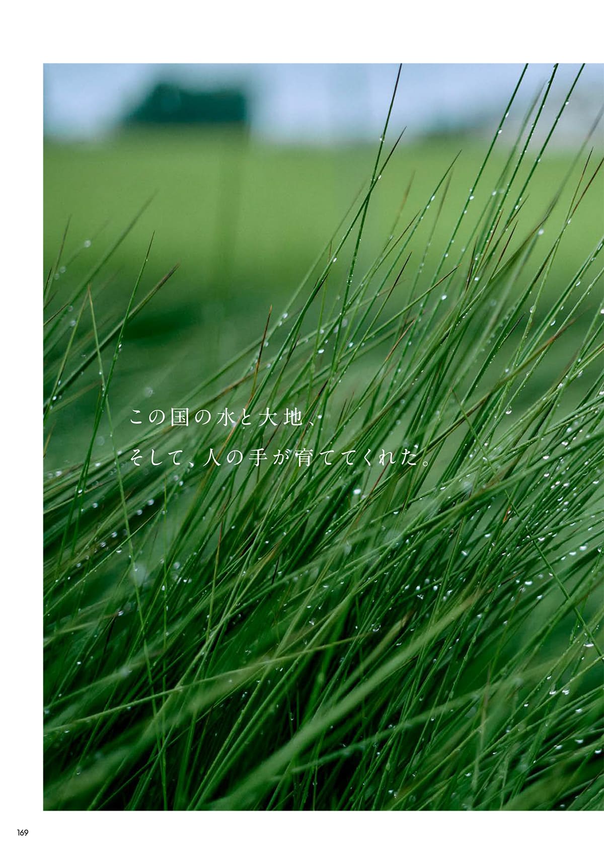 アダル ADAL カタログ P169