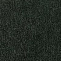 ブラック(本革)