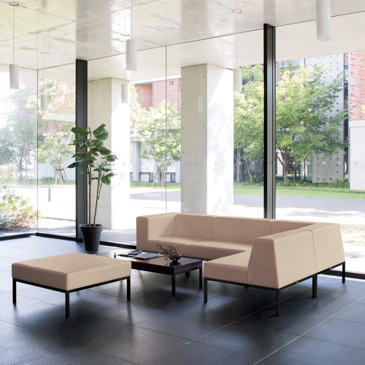 クリスタ-画像1