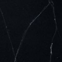 トーラスブラック