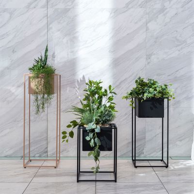 ジョグ プラントカバー