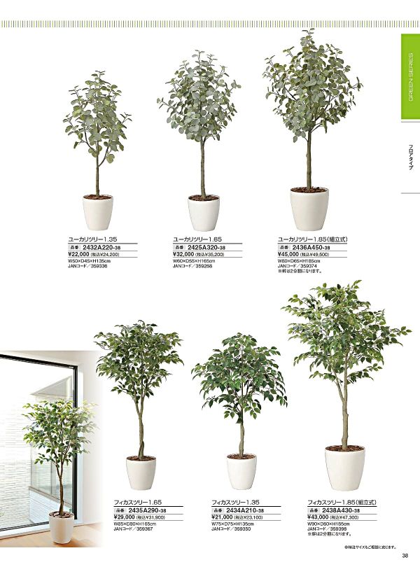 フィカスツリー1.85（組立式）2438A430のカタログ画像-1