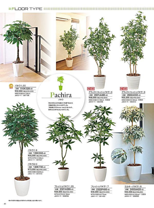 ミルキーパキラ1.8 2455A420のカタログ画像-1