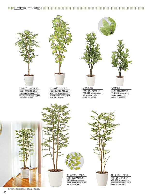 光触媒　人工観葉植物　ウォールグリーン　フェイクグリーン　スリムバウヒニア1.5 スリムバウヒニア1.5 2429A240」アートクリエイションのフェイク