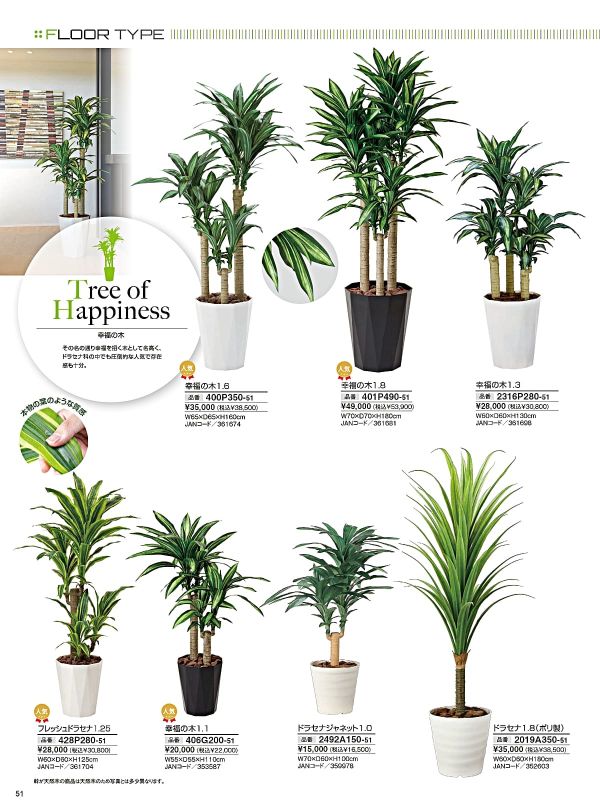 フレッシュドラセナ1.25 428P280のカタログ画像-1