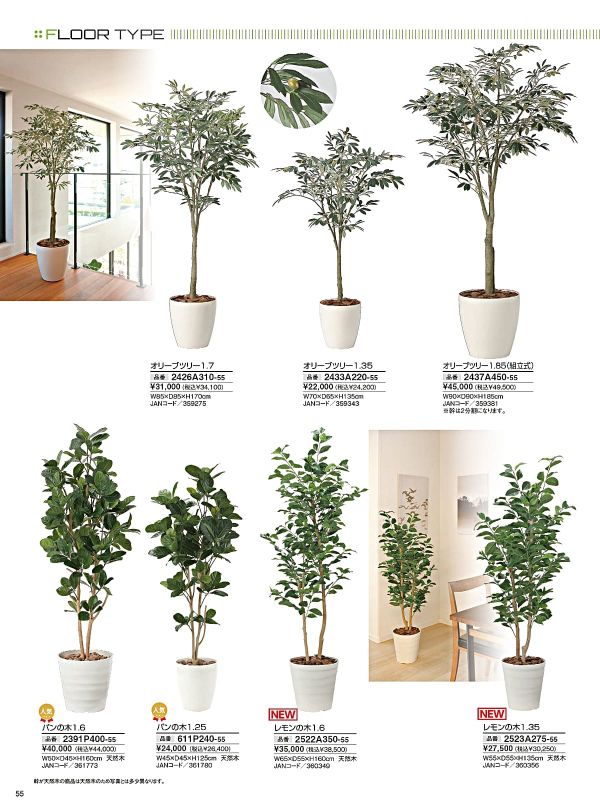 パンの木1.6 2391P400のカタログ画像-1