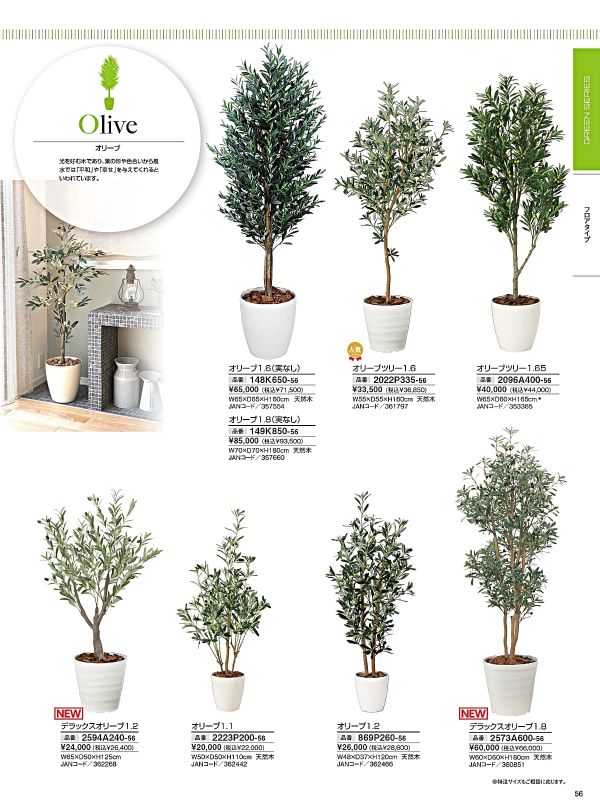 オリーブ1.1 2223P200のカタログ画像-1
