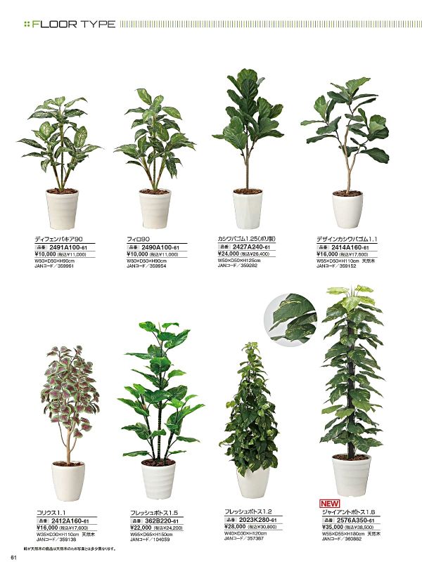 ディフェンバキア90 2491A100のカタログ画像-1