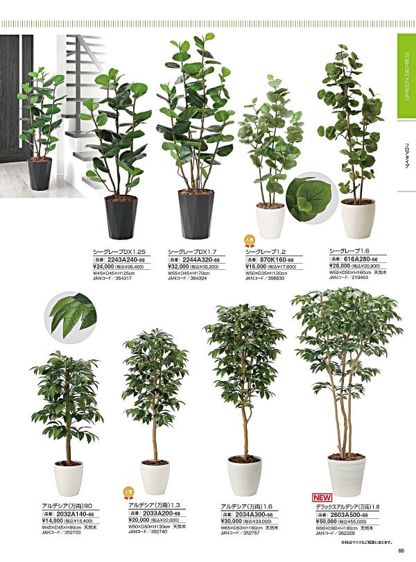 アルデシア(万両)1.6 2034A300のカタログ画像-1