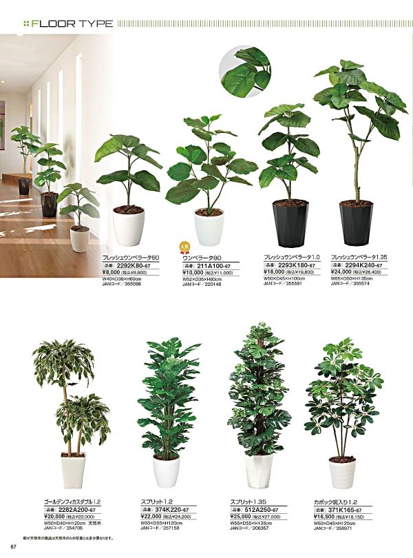 フレッシュウンベラータ60 2292K80のカタログ画像-1