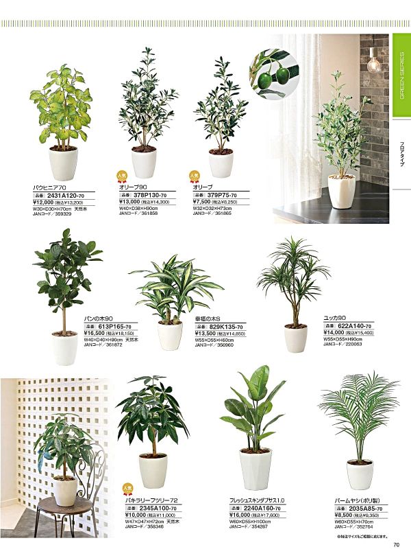 パンの木90 613P165のカタログ画像-1