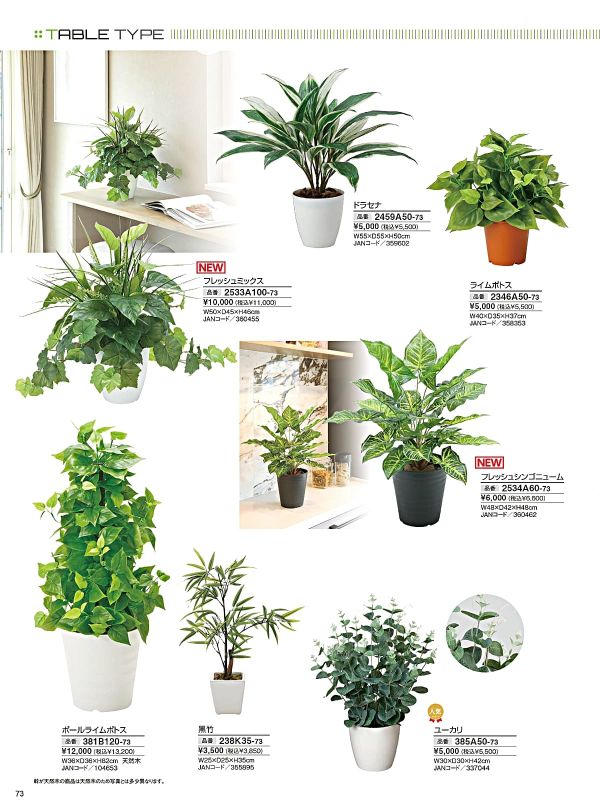 ポールライムポトス 381B120のカタログ画像-1