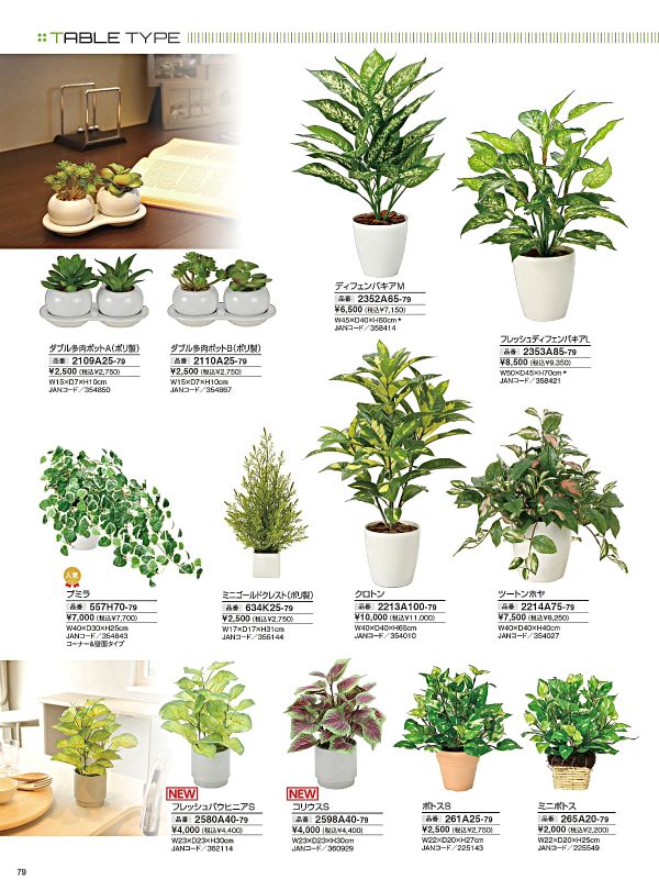 クロトン 2213A100のカタログ画像-1