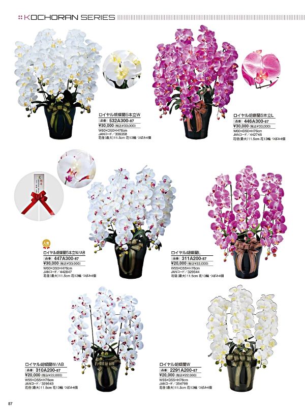 ロイヤル胡蝶蘭5本立W 532A300のカタログ画像-1