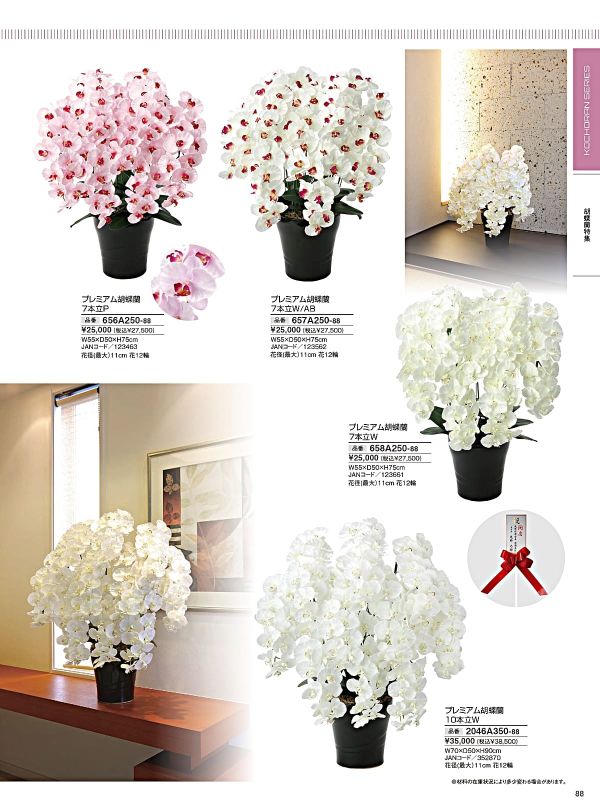 プレミアム胡蝶蘭7本立W 658A250のカタログ画像-1