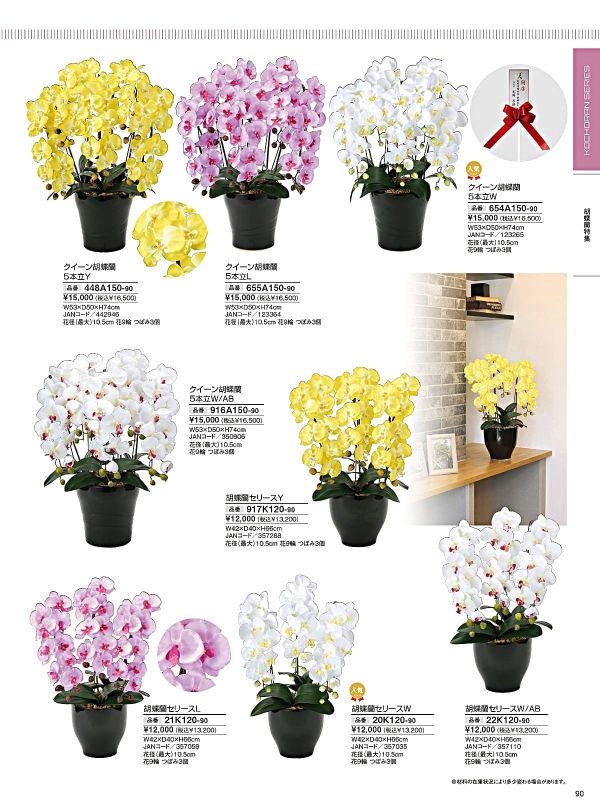 胡蝶蘭セリースL 21K120のカタログ画像-1
