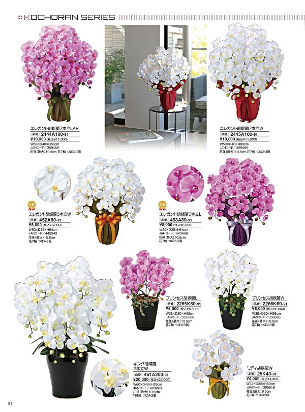 エレガント胡蝶蘭5本立L 453A80のカタログ画像-1