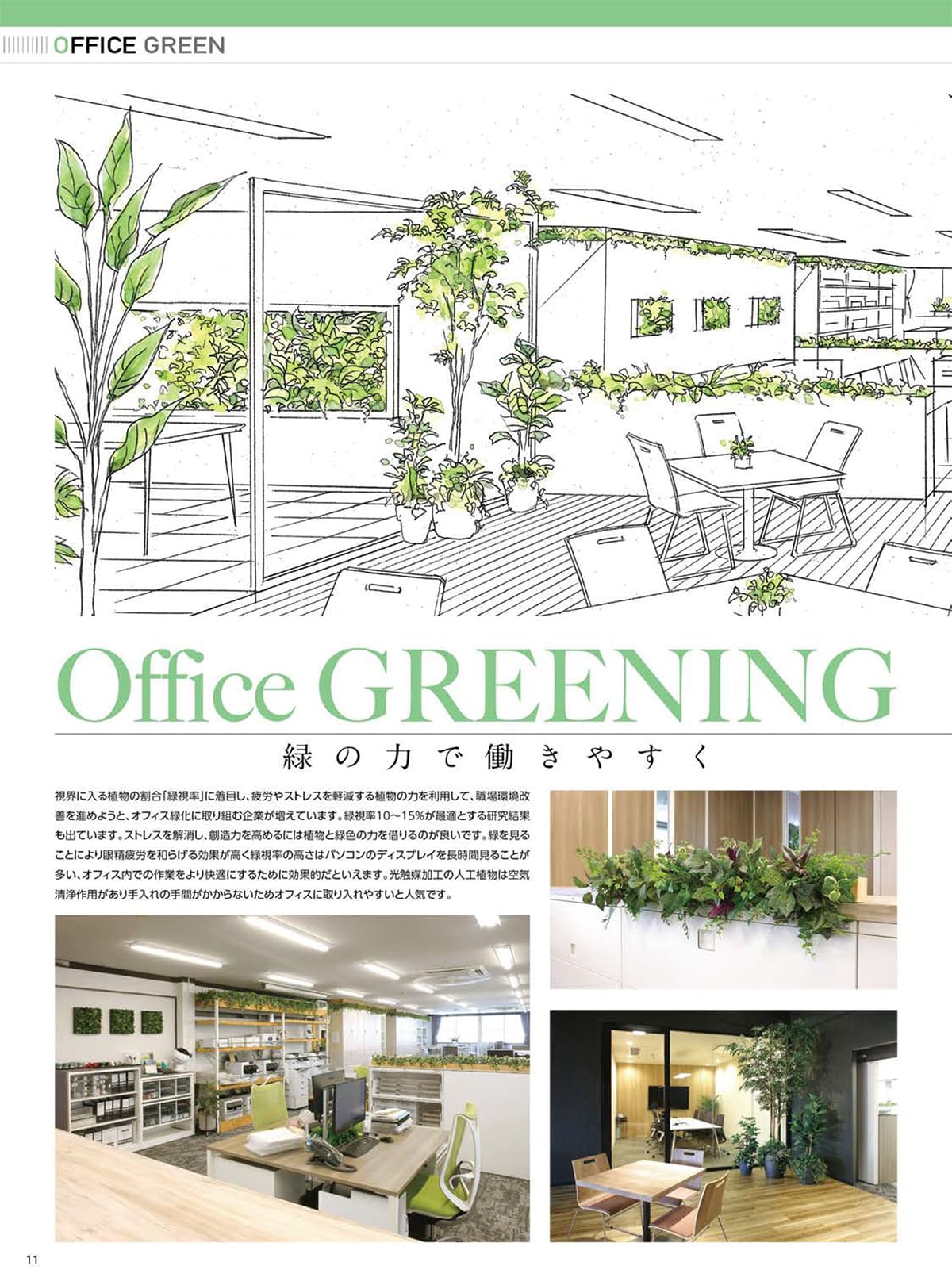 光の楽園 カタログ P11