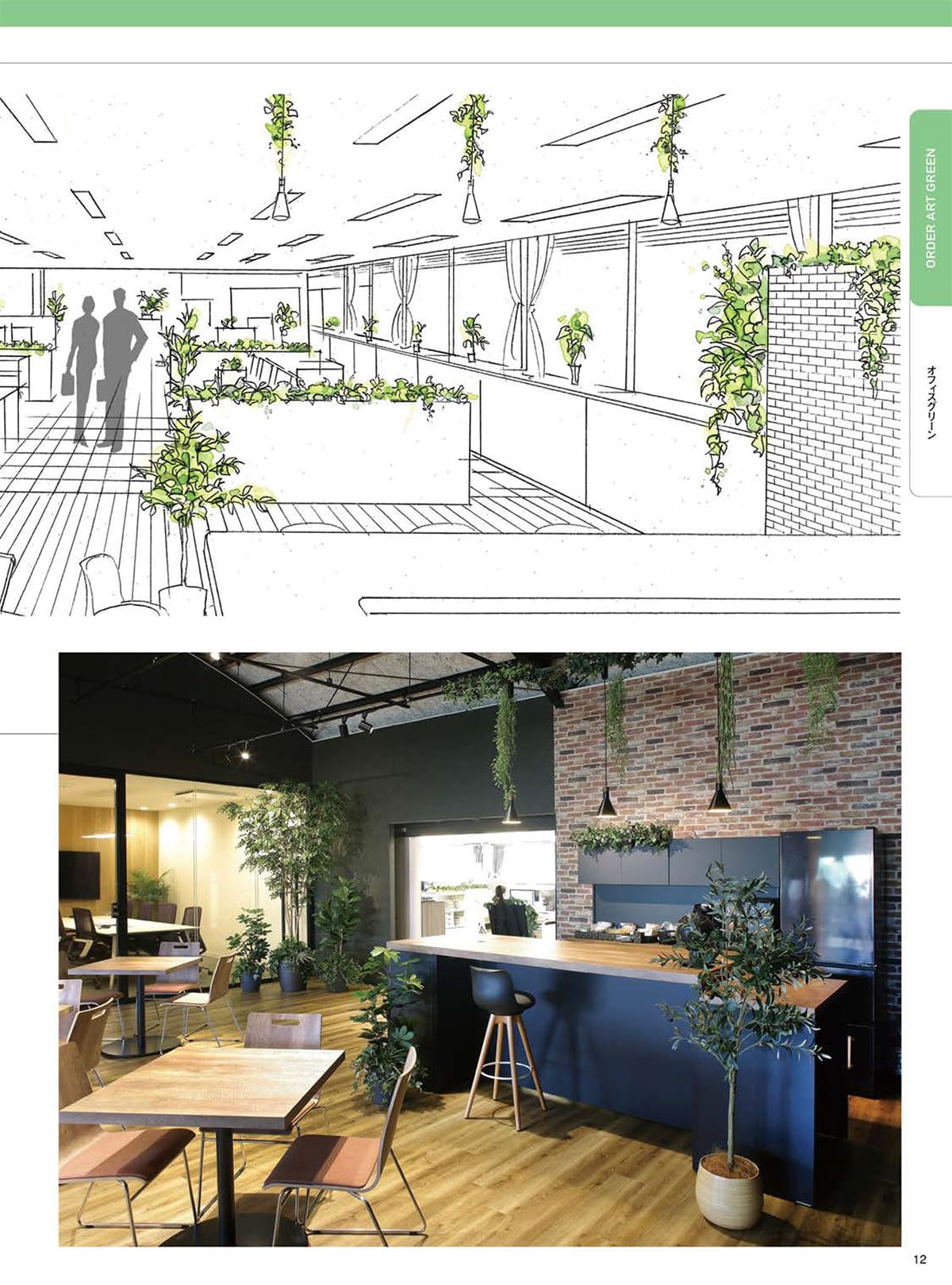 光の楽園 カタログ P12