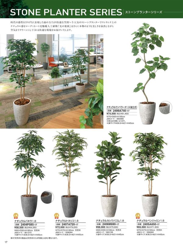 ナチュラルウンベラータ1.9(組立式)2499A740のカタログ画像-1