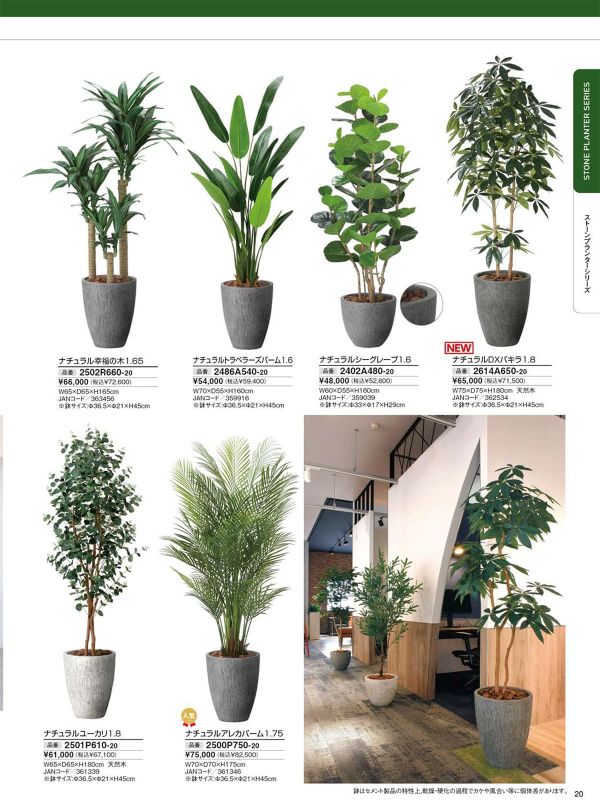 ナチュラルシーグレープ1.6 2402A480のカタログ画像-1