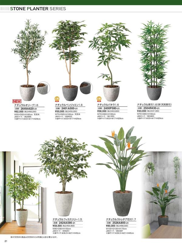 ナチュラル黒竹1.6 2504R430のカタログ画像-1