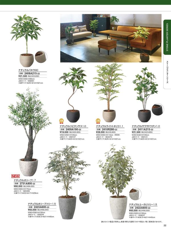 ナチュラルツピタンサス1.0 2409A190のカタログ画像-1