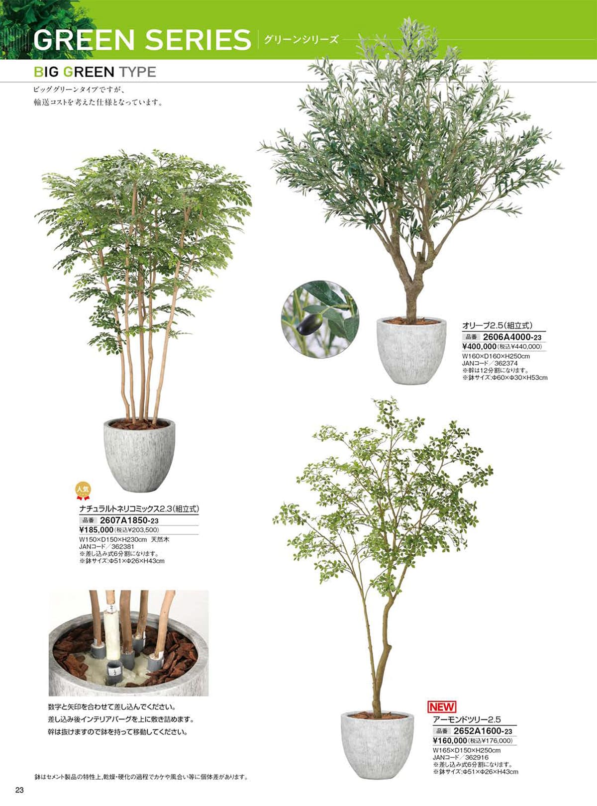 光の楽園 カタログ P23