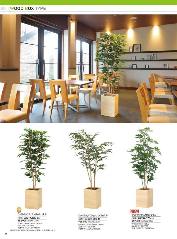 ウッドボックスベンジャミン1.8 2301A520のカタログ画像-1