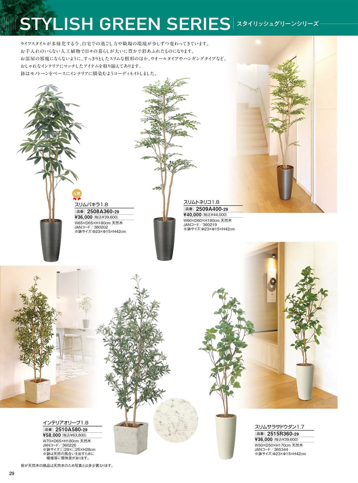 光の楽園 カタログ P29