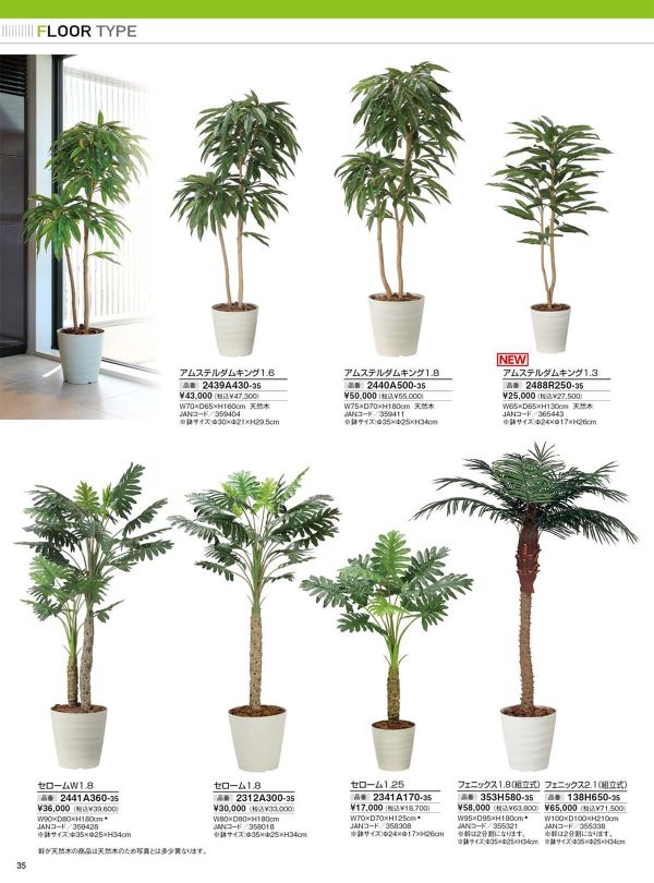 アムステルダムキング1.6 2439A430のカタログ画像-1