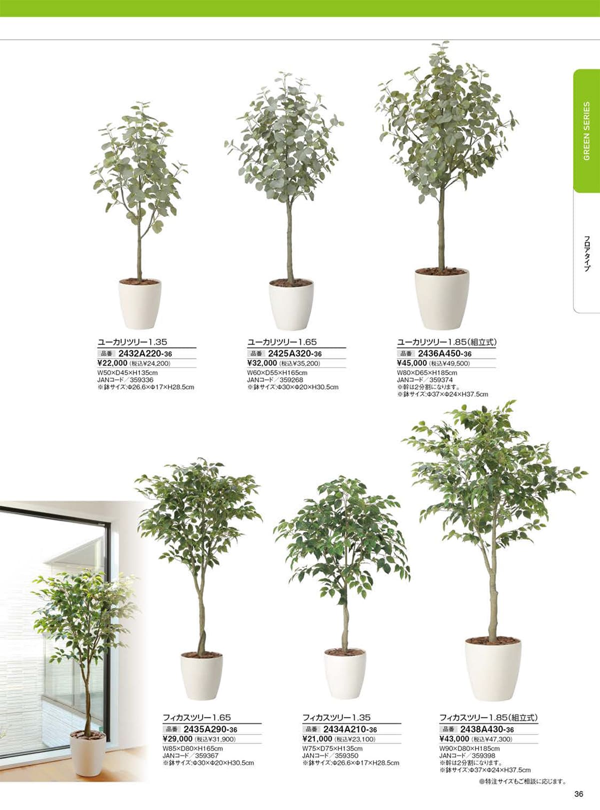 光の楽園 カタログ P36