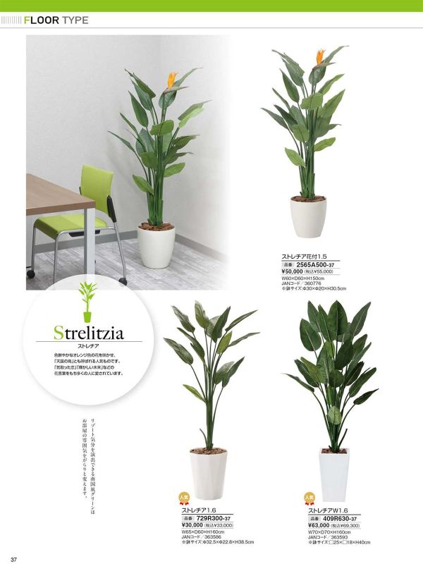 ストレチアW1.6 409R630のカタログ画像-1