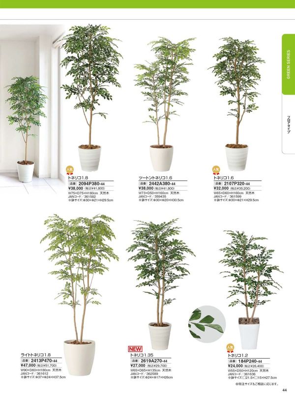 ツートントネリコ1.6 2442A380のカタログ画像-1