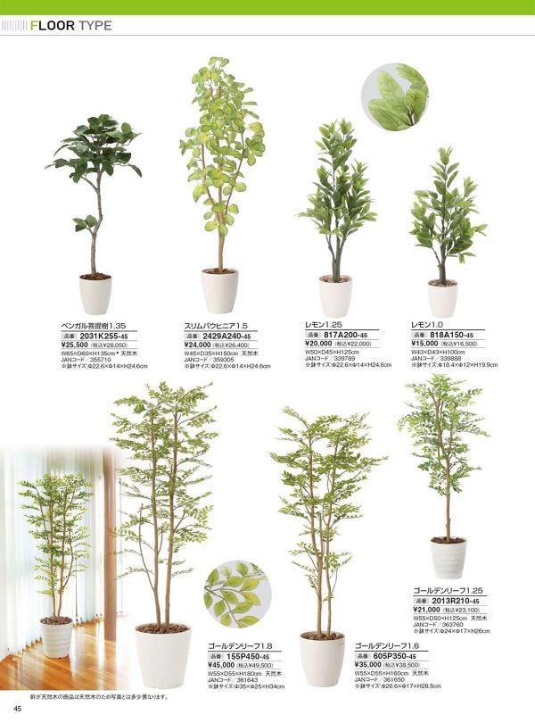 レモン1.0 818A150のカタログ画像-1