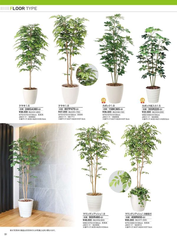 マウンテンアッシュ1.8 植栽付 408R650のカタログ画像-1