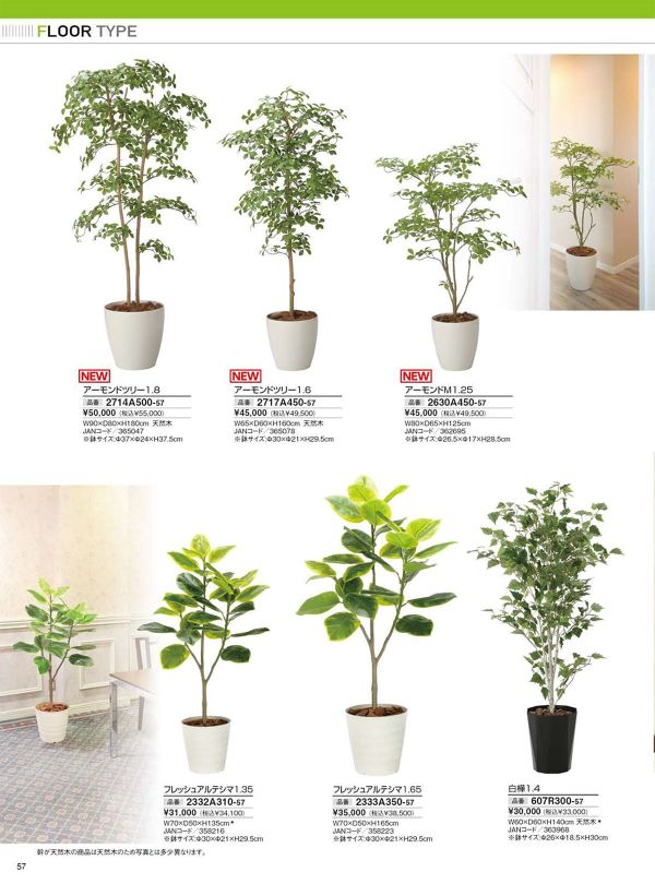 白樺1.4 607R300のカタログ画像-1