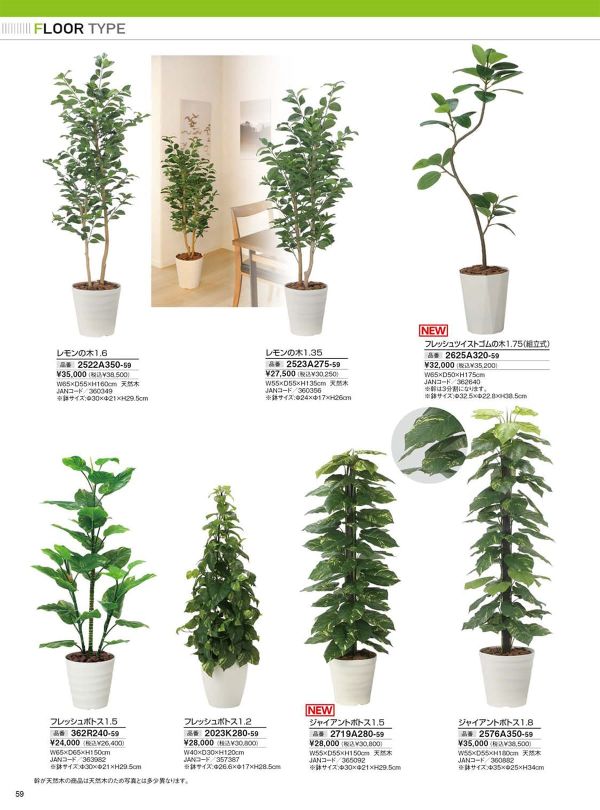 フレッシュポトス1.5 362R240のカタログ画像-1