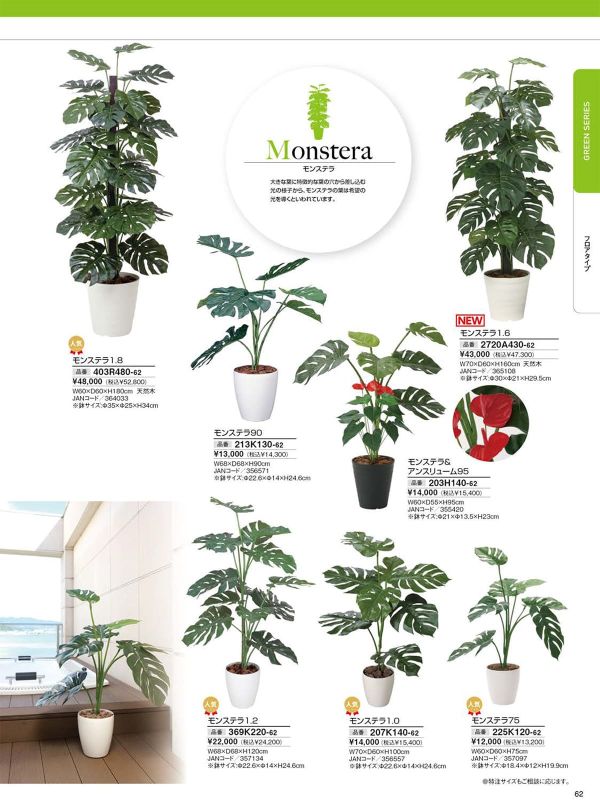 モンステラ1.0 207K140のカタログ画像-1