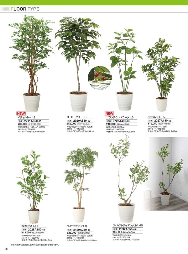 タイワンモミジ1.3 2420A230のカタログ画像-1