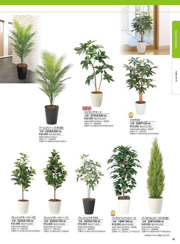 パームツリー1.3（ポリ製）2238A200のカタログ画像-1