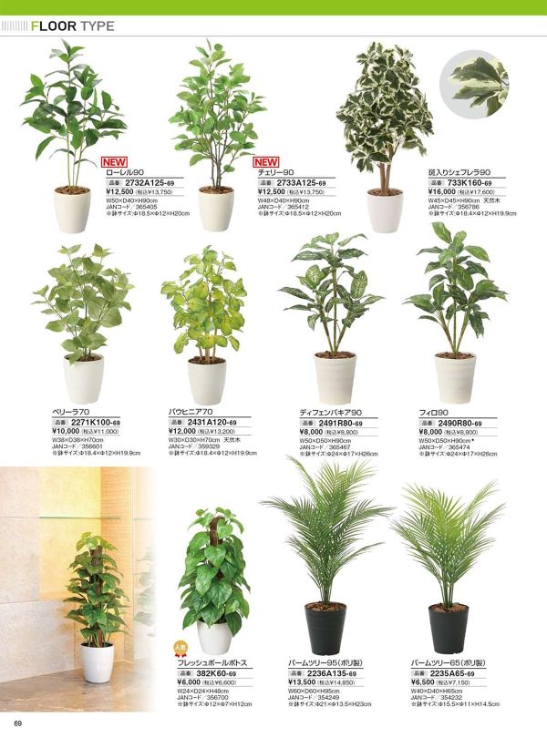 ディフェンバキア90 2491R80のカタログ画像-1