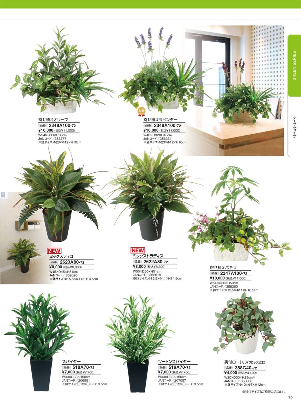 光の楽園 カタログ P72