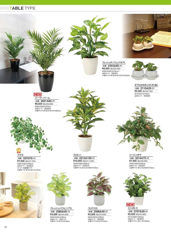 クロトン 2213A100のカタログ画像-1