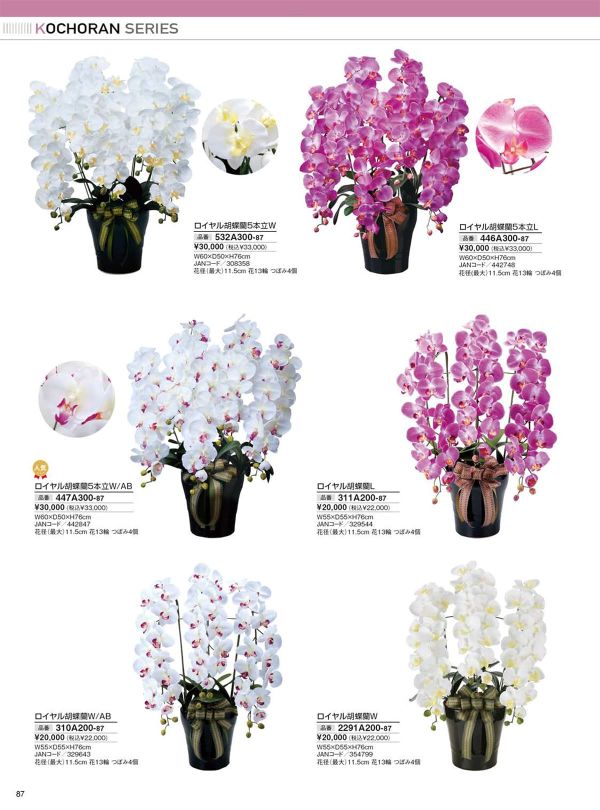 ロイヤル胡蝶蘭5本立W 532A300のカタログ画像-1