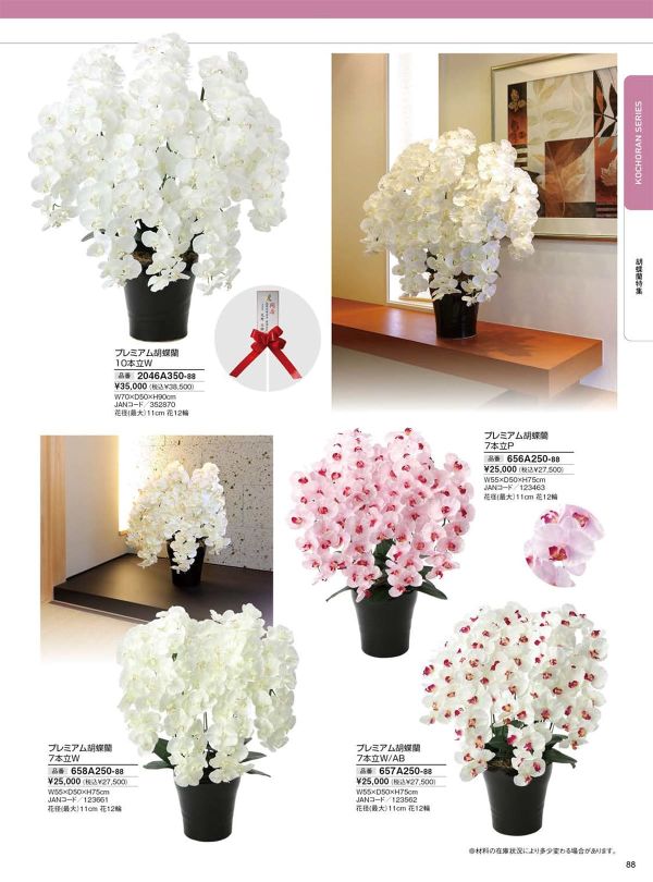 プレミアム胡蝶蘭10本立W 2046A350のカタログ画像-1